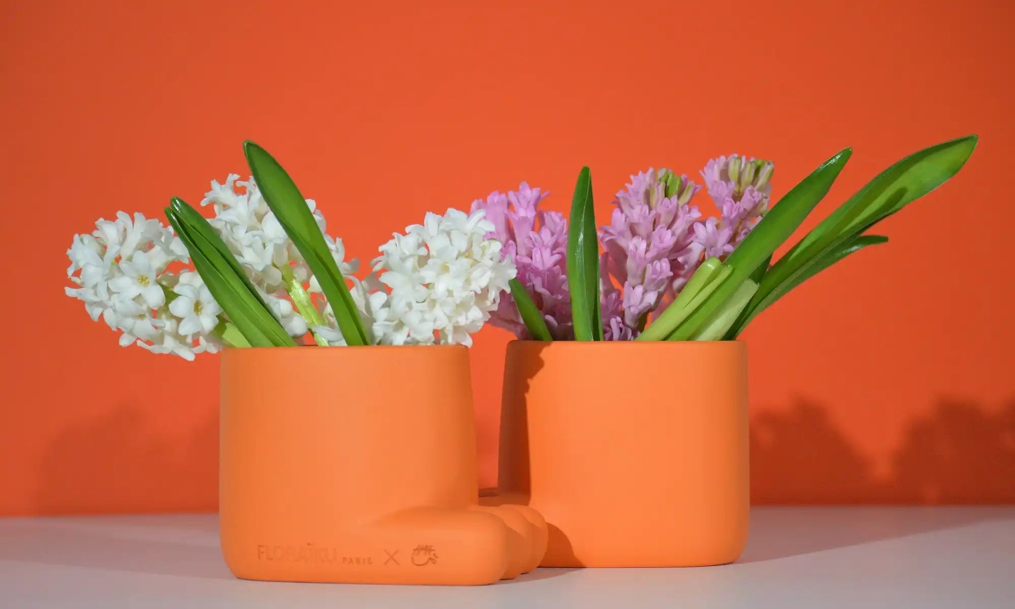 Pink and white hyacinths in orange ceramic containers.