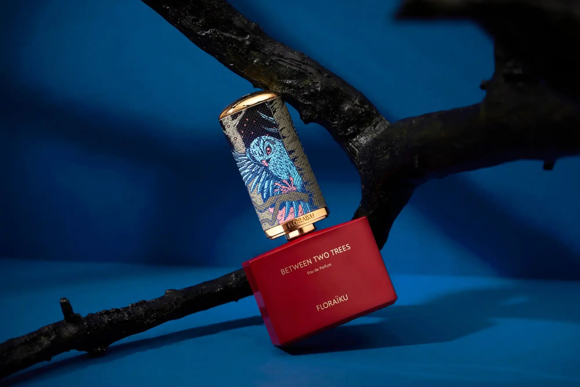 Red passport or travel document with a skateboard deck positioned above it.